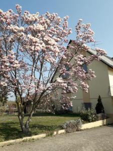 Villa 8 personnes - Porte du Ried