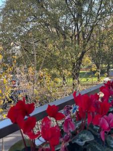 Grazioso Monolocale-Piazza Insubria