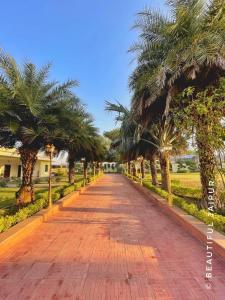 Black Bear Farm house with 5 Bedroom swimming pool and garden