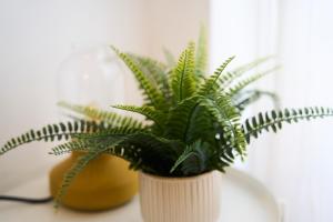 La Casita de la Playa-Apartamento, 2 habitaciones Aeropuerto Tenerife Sur-Los Abrigos