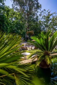 Hotel Cuevas - Adults Only