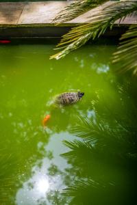 Hotel Cuevas - Adults Only