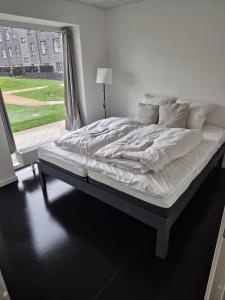 Copenhagen Comfort