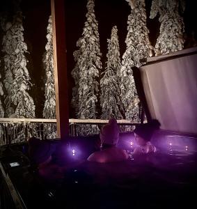 Arctic Skyline Villa