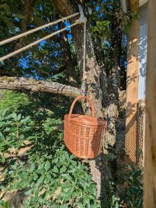 "La cabane", la roseraie de Zoubiroux