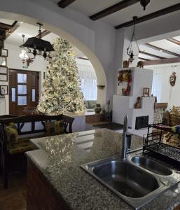 DRUMUL DOMNISORILOR c