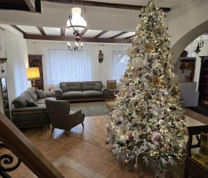 DRUMUL DOMNISORILOR c