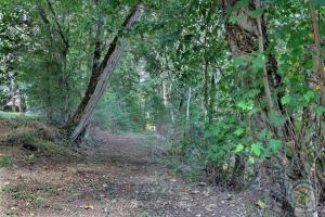 Manoir de la droulinais