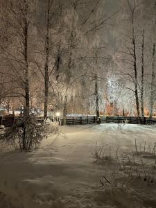 Family Villa House Winter&Summer Season