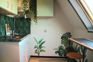 LAtelier des Tropiques