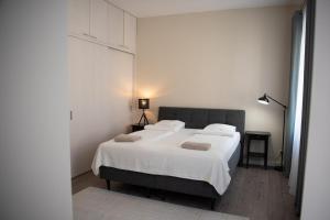 Stylish & Brand New 1 BDR Apartment in Old Town