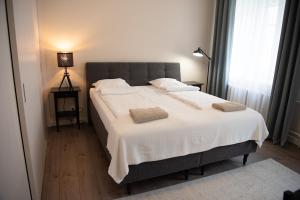 Stylish & Brand New 1 BDR Apartment in Old Town