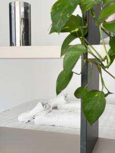 Holiday Rental - Collection Studios Palas Mall Iasi