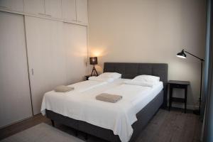 Stylish & Brand New 1 BDR Apartment in Old Town