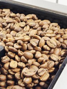 Attic in the heart of Radom