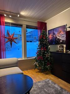 Half of a semi-detached house with 2 bedrooms, 1100 m to city center!