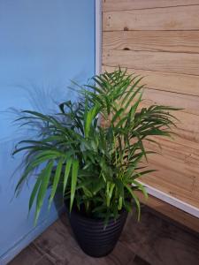 270 Foutains Avenue, Centurion, Lyttelton Manor