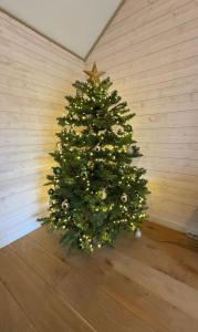 Ambiance boisée Moustier