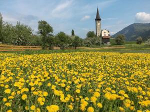 Apartment Piz Mundaun