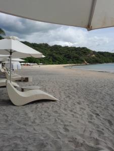 Pico de loro