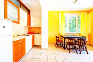 Visy in Center Novalja with Pool