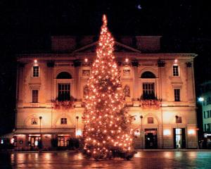 Barony Olive mit Hund