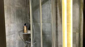 Aspen - Airport & City Access