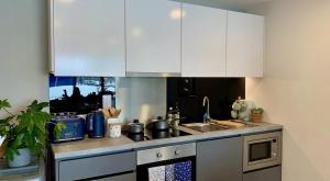 Aspen - Airport & City Access