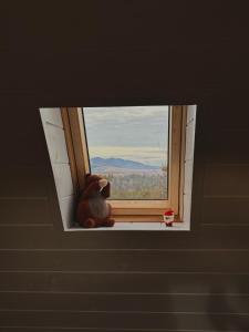 Casa Sunetul Padurii din Belis Apuseni