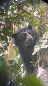 El Paraíso Escondido De Los Yumbos