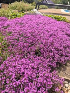 Artists Hawkhurst Home with Heated Pool & Sauna