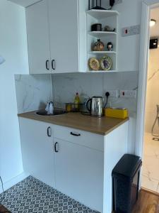 Cosy Garden Studio, close to Central and Wembley