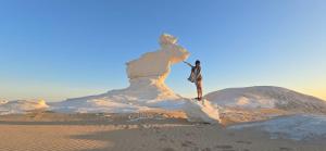 Tours of the White Desert