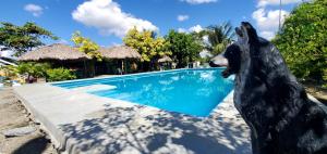 hotel las yayas la vega