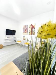 Sunny Holidays Los Cristianos