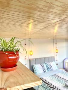 Casita Cusco Spacious 2BR apartment great views, balcony, WiFi