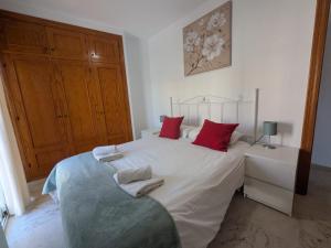Apartment close from the beach and centre of Nerja