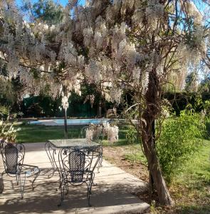 Las Glicinas de Chacras