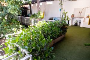 Habitación privada con WiFi, desayuno y excelente ubicación en Asunción