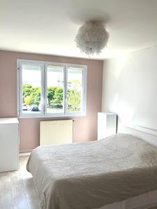 Charmant T3 à Angers - parking gratuit