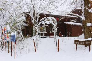 Snowfall Meteor 飛雪流星