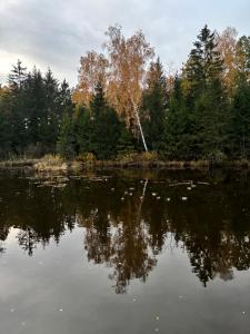Mazurskie Zacisze - sauna, jacuzzi, kominek