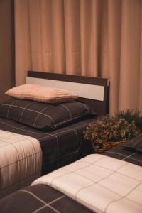 Robert Local Social Restaurant & Accomodation