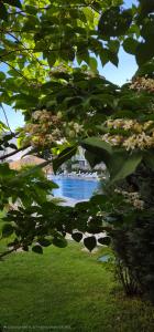 Apartment with green terrace