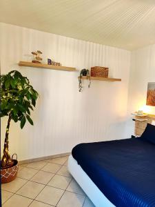 Almarea Beach - Essenza del mare, calore di casa