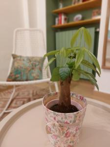 Casa Leonardo Comfort in centro