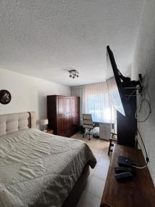 Confortable apartamento