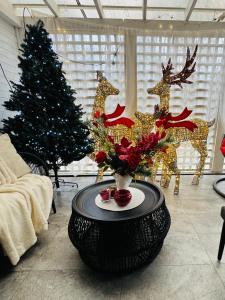 Aici te simți ca acasa 2