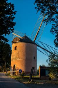 Florence Winery Country Apartments - Fattoria Lavacchio