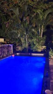 Elephant House Premium Villa